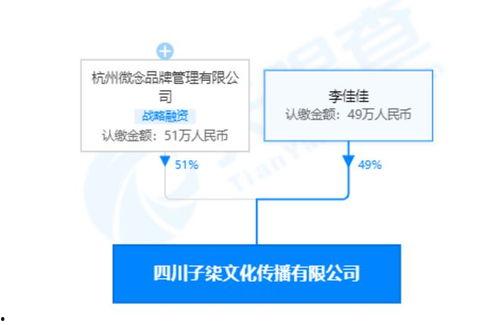 网红经纪公司案件分析,揭秘行业乱象与法律风险