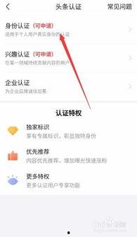 头条认证是怎么来的,揭秘内容创作者权威身份的诞生之路