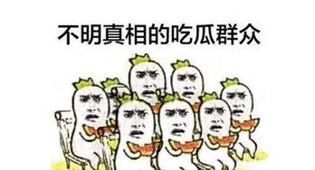 自拍吃瓜群众,揭秘网络时代的“瓜农”生活