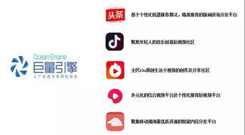 头条运营与管理是什么,揭秘内容生态的优化之道