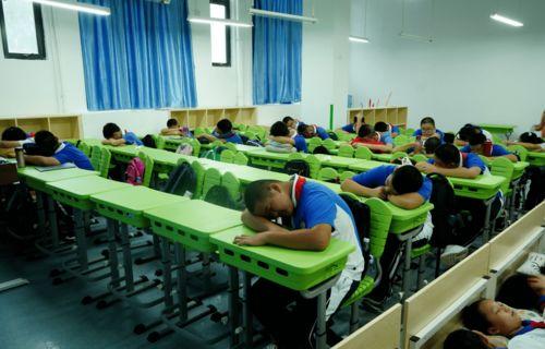 网红刘翰东的学校,从知名网红到校园风云人物的教育历程揭秘