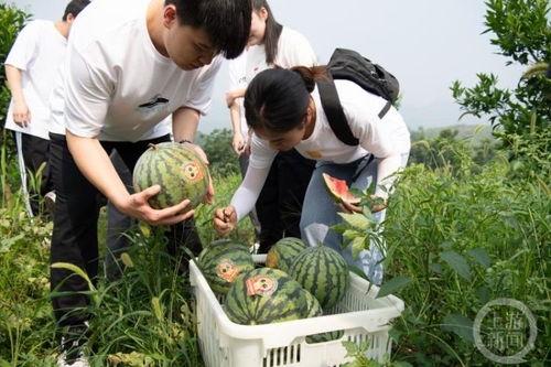 重庆舞房吃瓜,揭秘吃瓜群众的狂欢现场