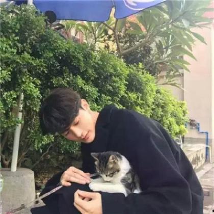 qq头像男网红,揭秘QQ头像中的魅力男网红