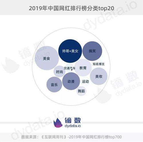 网红统计,数据背后的潮流风向标