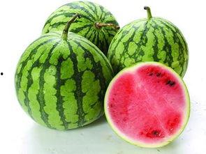 吃瓜不出瓜,揭秘娱乐圈背后的神秘力量