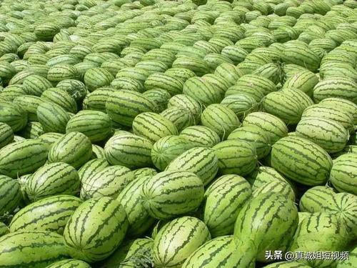 吃瓜大汇总,盘点娱乐圈热点事件背后的真相与笑料