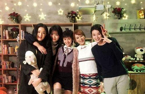 欢乐颂3在线观看全集,揭秘都市女性的情感与成长之旅