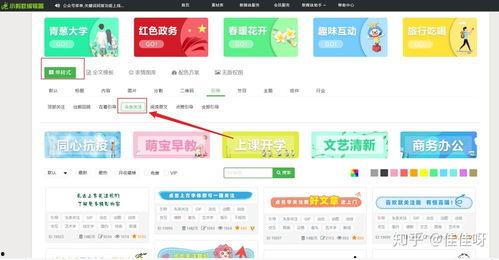 最近头条关注的公众号,揭秘近期头条公众号关注焦点