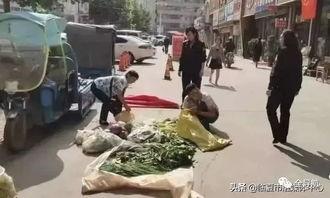 临夏吃瓜最新事件新闻,揭秘背后真相与网络舆论风暴