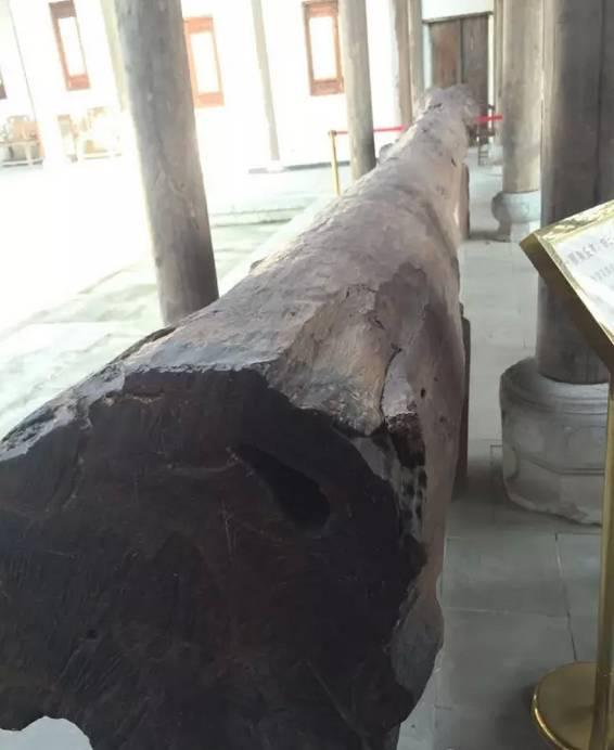 看见更大的世界看料,看见更大的世界之旅