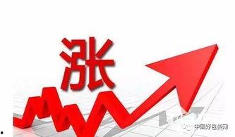 纸板头条新闻,揭秘纸板行业最新动态与市场趋势