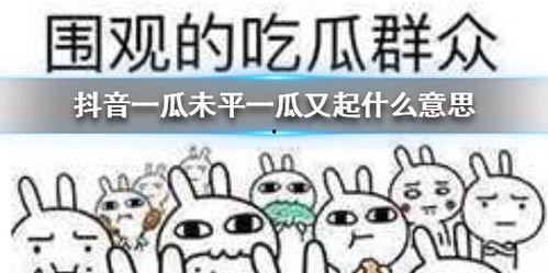 一瓜未平吃瓜视频