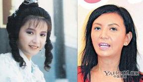 天仙娱乐最新爆料网址,揭秘最新网址背后的精彩故事