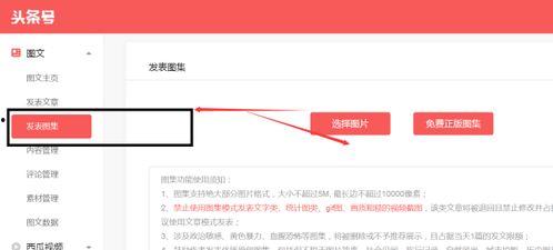 相片如何发在头条,从相片到头条，记录生活美好瞬间