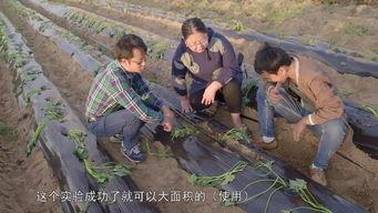 兰考的网红,魅力乡村的数字足迹