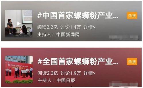 网红公司能坚持多久呢,能坚持多久？