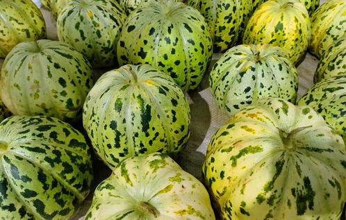 面瓜怎样吃,探索面瓜的多样美味