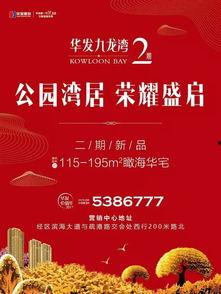 九龙湾头条,聚焦区域发展，解码城市新活力