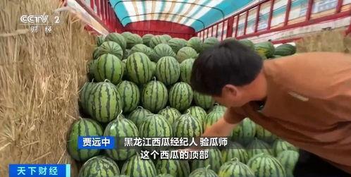 吃瓜网热点吃瓜 在线观看,实时在线观看，揭秘娱乐圈最新动态