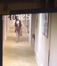 辽宁饭店爆料视频最新,揭秘酒店内部惊人真相